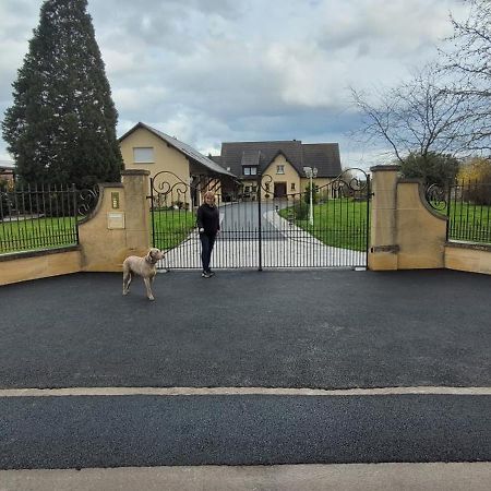 Gite Du Clos Paisible Jebsheim ภายนอก รูปภาพ